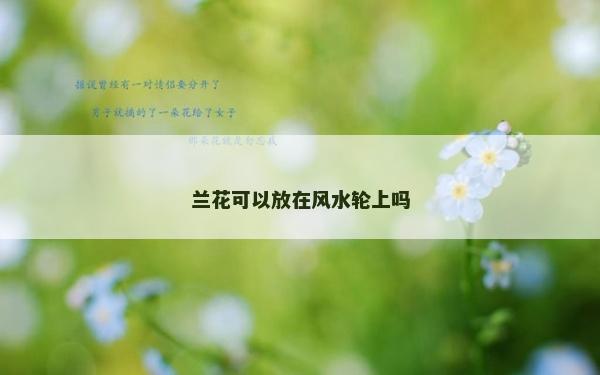 蘭花可以放在風水輪上嗎