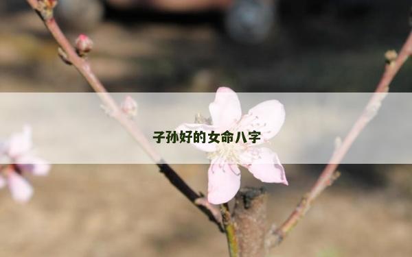 子孫好的女命八字