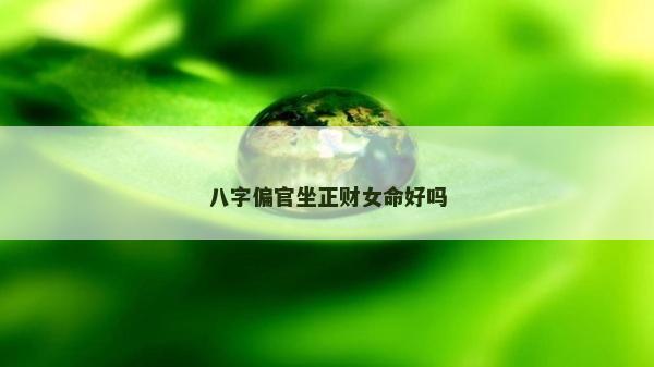 八字偏官坐正財女命好嗎