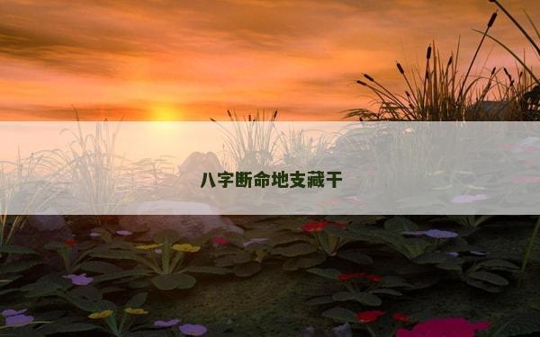 八字斷命地支藏干
