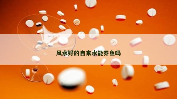風(fēng)水好的自來(lái)水能養(yǎng)魚(yú)嗎