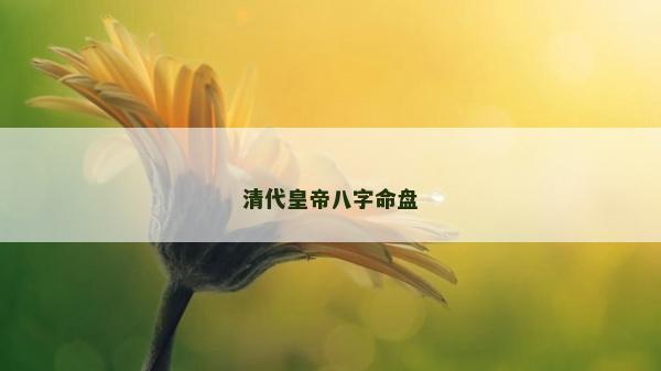 清代皇帝八字命盤