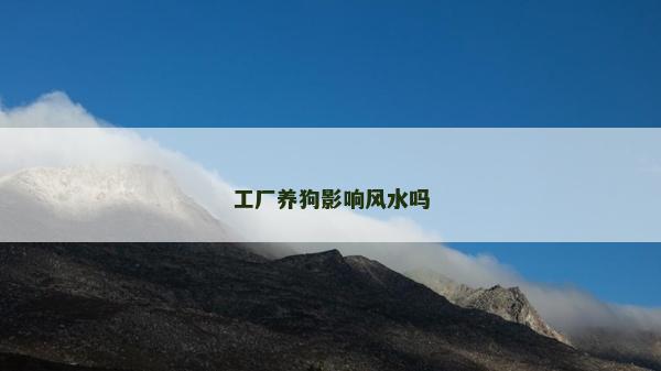 工廠養(yǎng)狗影響風(fēng)水嗎