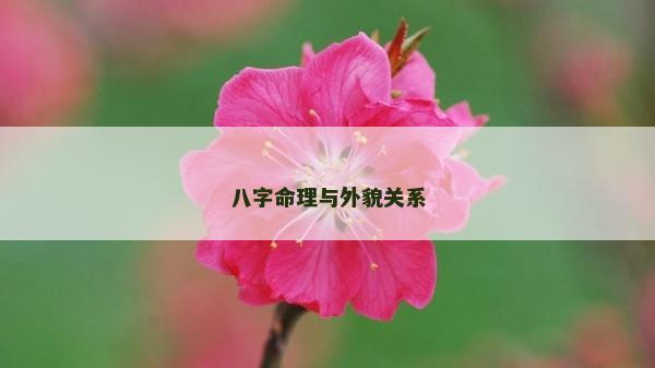 八字命理與外貌關系