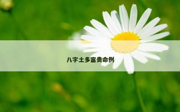 八字土多富貴命例