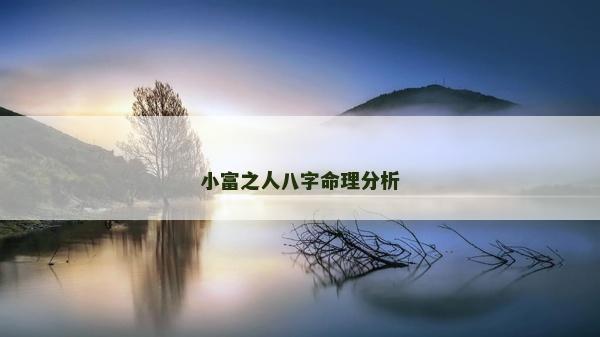 小富之人八字命理分析