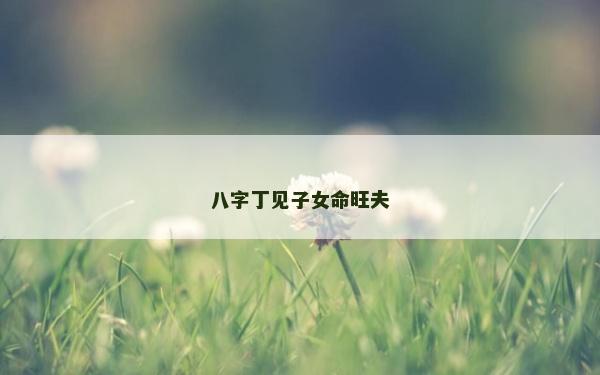 八字丁見子女命旺夫