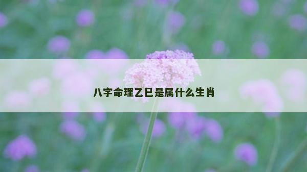 八字命理乙巳是屬什么生肖