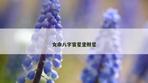 女命八字官星坐財星