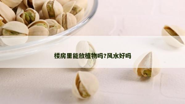 樓房里能放植物嗎?風水好嗎