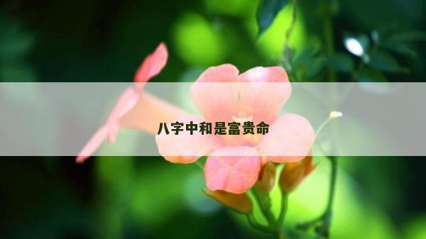 八字中和是富貴命