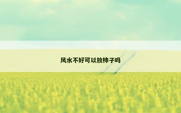 風水不好可以放柿子嗎 風水不好可以放柿子嗎