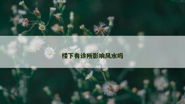 樓下有診所影響風水嗎