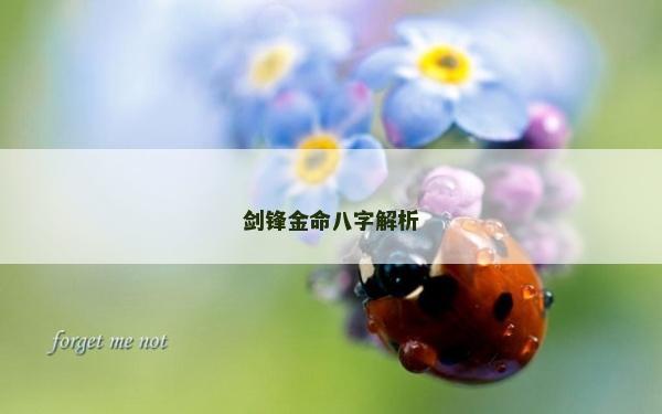 劍鋒金命八字解析
