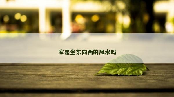 家是坐東向西的風水嗎