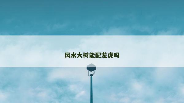 風水大樹能配龍虎嗎