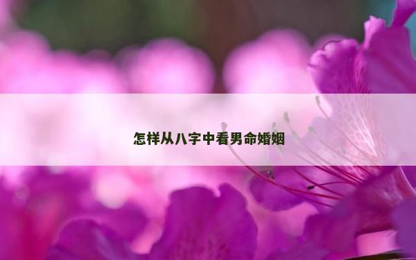 怎樣從八字中看男命婚姻