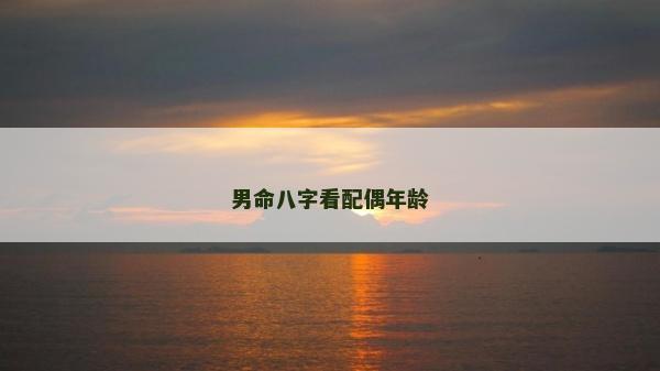 男命八字看配偶年齡