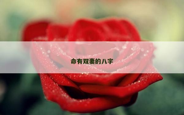 命有雙妻的八字