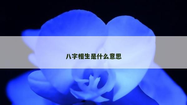 八字相生是什么意思