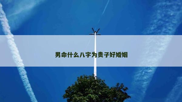 男命什么八字為貴子好婚姻