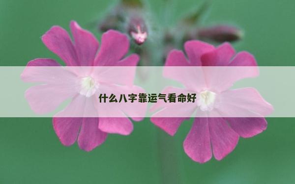 什么八字靠運氣看命好