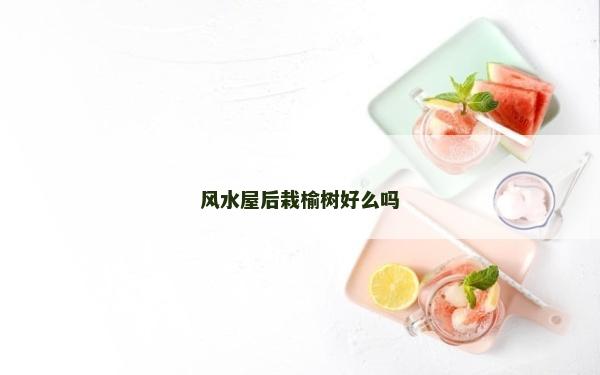 風水屋后栽榆樹好么嗎
