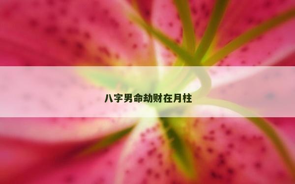 八字男命劫財在月柱
