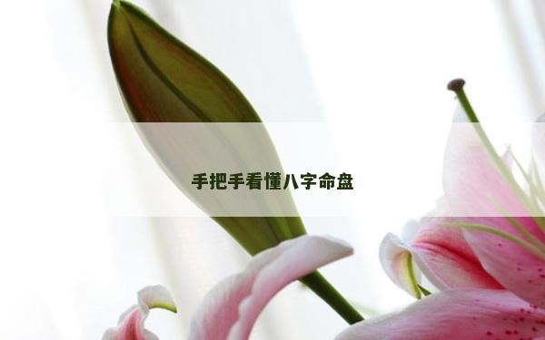 手把手看懂八字命盤(pán)