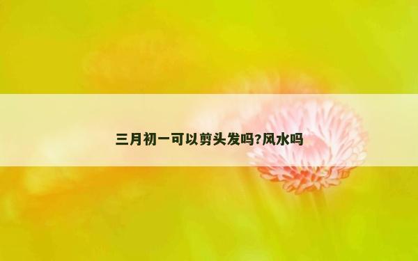 三月初一可以剪頭發嗎?風水嗎