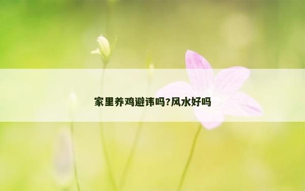 家里養(yǎng)雞避諱嗎?風水好嗎