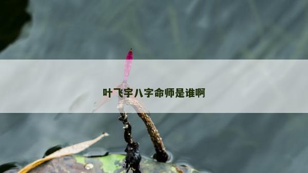 葉飛宇八字命師是誰啊 葉飛宇八字命師是誰啊