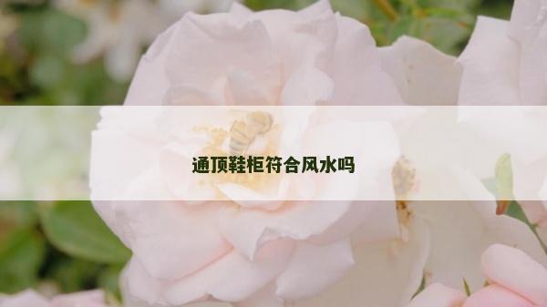 通頂鞋柜符合風(fēng)水嗎