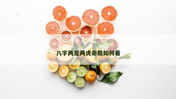 八字兩龍兩虎命局如何看