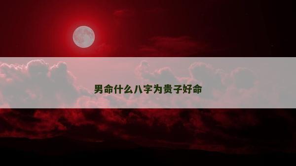 男命什么八字為貴子好命