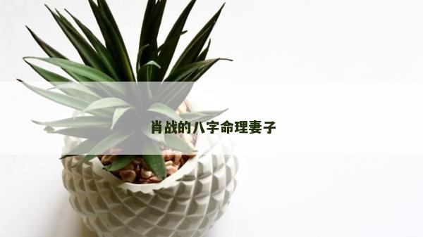 肖戰的八字命理妻子
