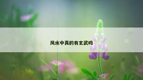 風(fēng)水中真的有玄武嗎