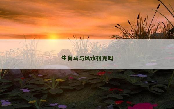 生肖馬與風水相克嗎