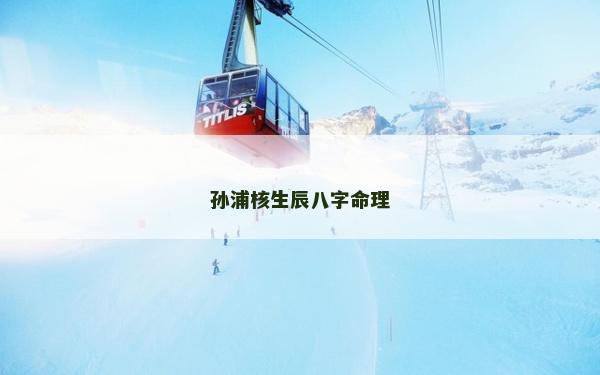 孫浦核生辰八字命理