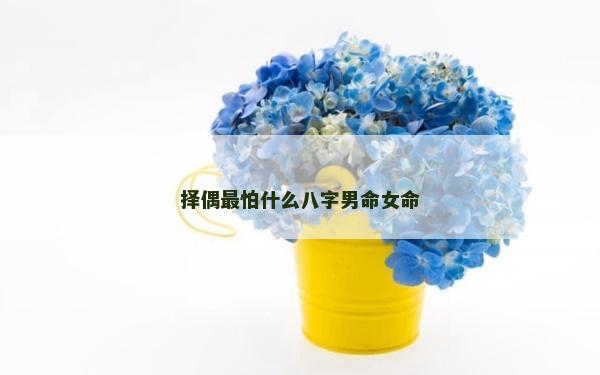 擇偶最怕什么八字男命女命 擇偶最怕什么八字男命女命