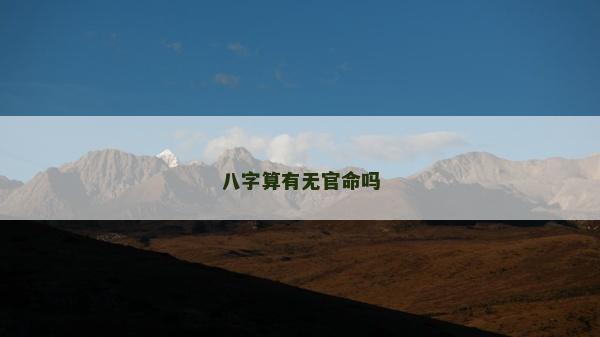八字算有無官命嗎