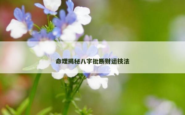 命理揭秘八字批斷財運技法