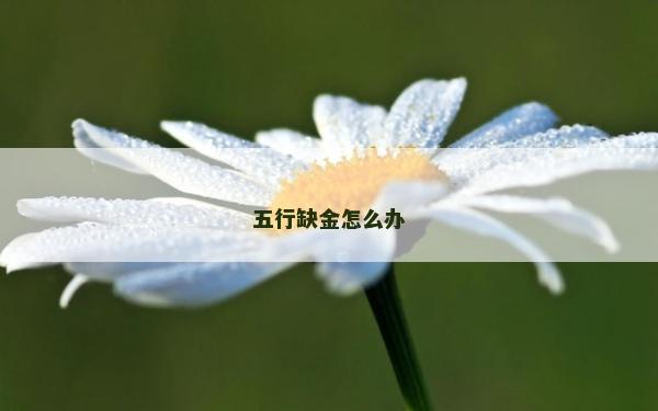 五行缺金怎么辦