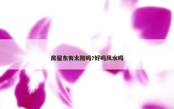 房屋東有太陽嗎?好嗎風水嗎