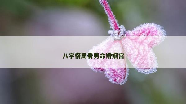 八字格局看男命婚姻宮