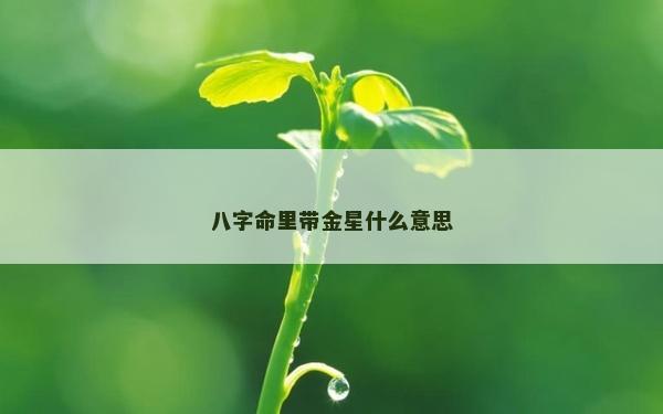 八字命里帶金星什么意思