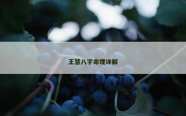 王慧八字命理詳解