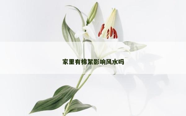 家里有棉絮影響風水嗎