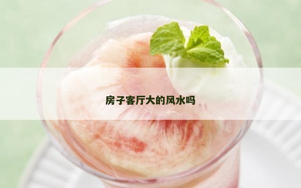 房子客廳大的風水嗎