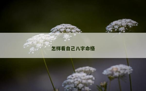 怎樣看自己八字命格